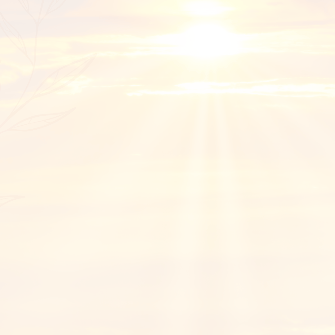 Helles Stimmungsbild mit Sonnenaufgang als Symbol für Wohlbefinden