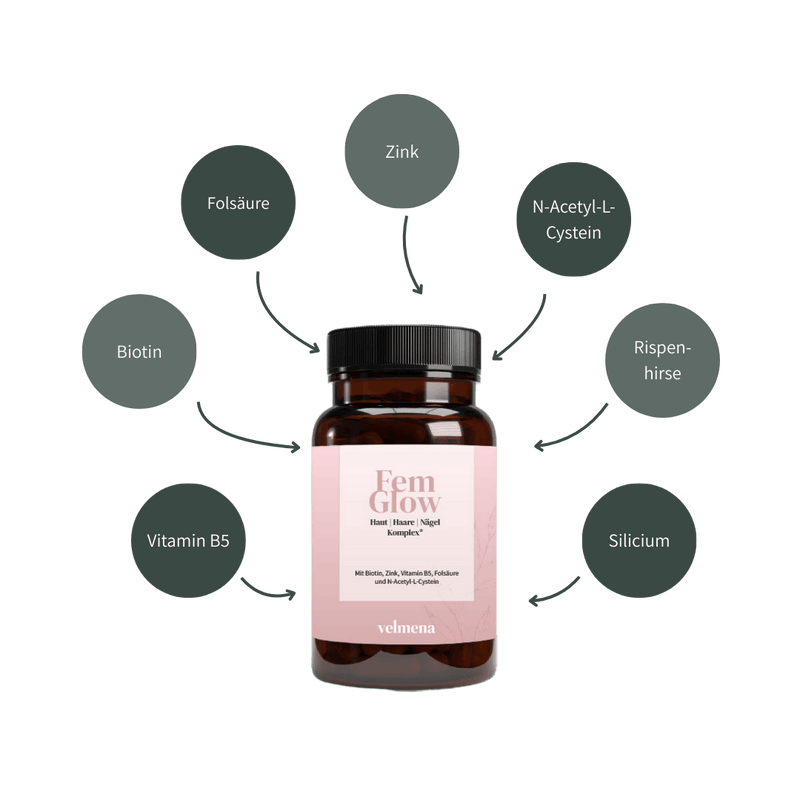 Velmena FemGlow Kapseln mit grafischer Übersicht der Inhaltsstoffe Biotin, Zink, Folsäure, Vitamin B5, N-Acetyl-L-Cystein, Silicium und Rispenhirse