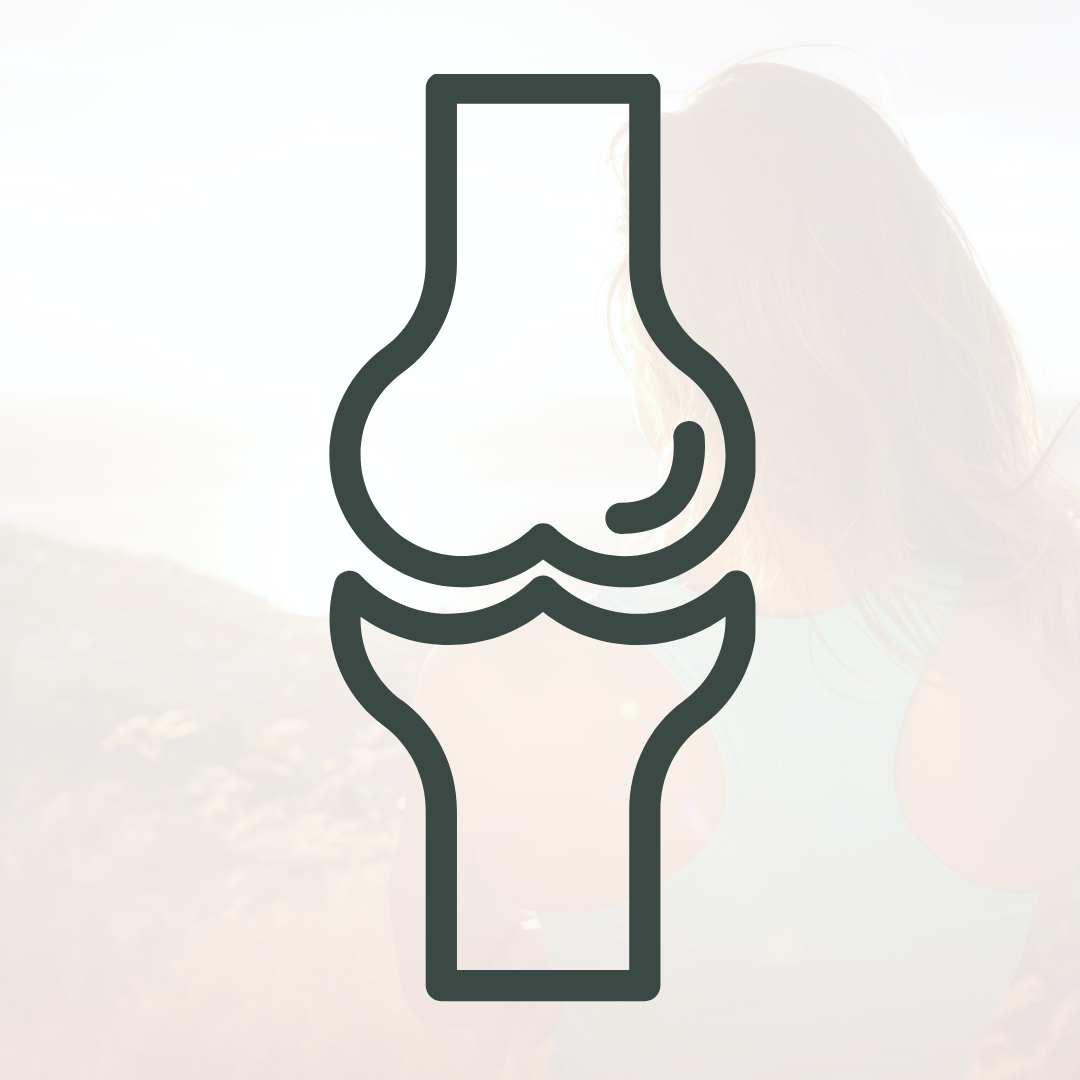 Gelenke & Knochen: Produkte für die Lebensphase der Wechseljahre