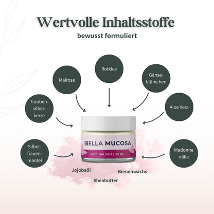 Übersicht der wertvollen Inhaltsstoffe: Rotklee, Mairose, Aloe Vera, Jojobaöl und Bienenwachs.