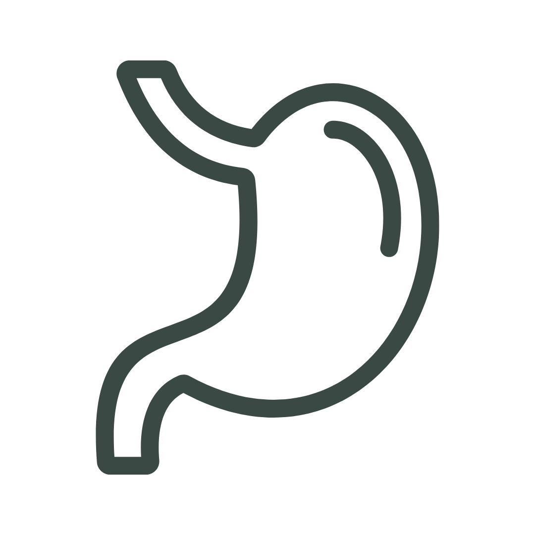 Magen-Icon als Symbol für eine gut verträgliche Einnahme des FemBalance Magnesium-Komplex