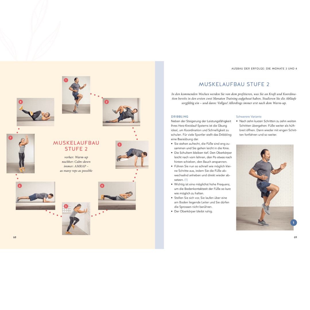 Trainingsübersicht mit mehreren Abbildungen zu Muskelaufbauübungen der Stufe 2