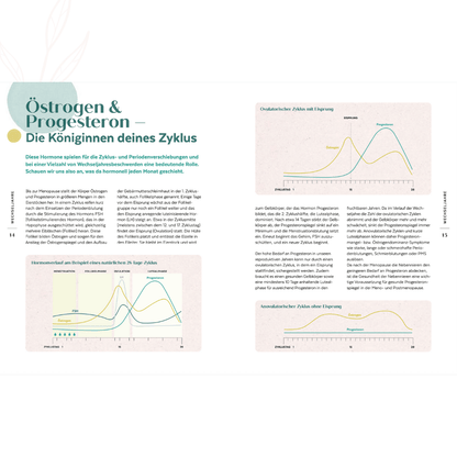 Grafiken zum Verlauf von Östrogen und Progesteron im natürlichen und anovulatorischen Zyklus