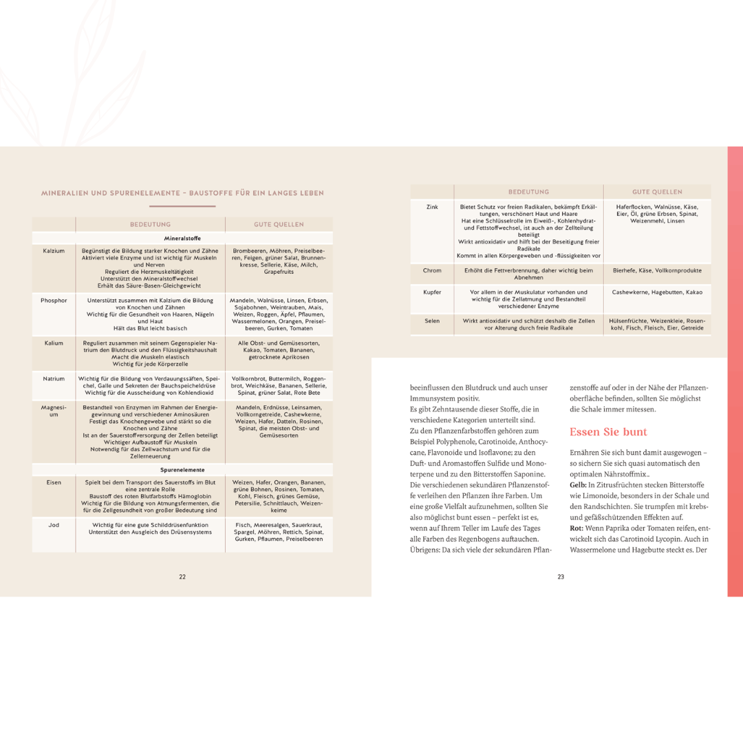Doppelseite mit theoretischen Grundlagen zu Ernährung, Nährstoffen und gesundem Altern