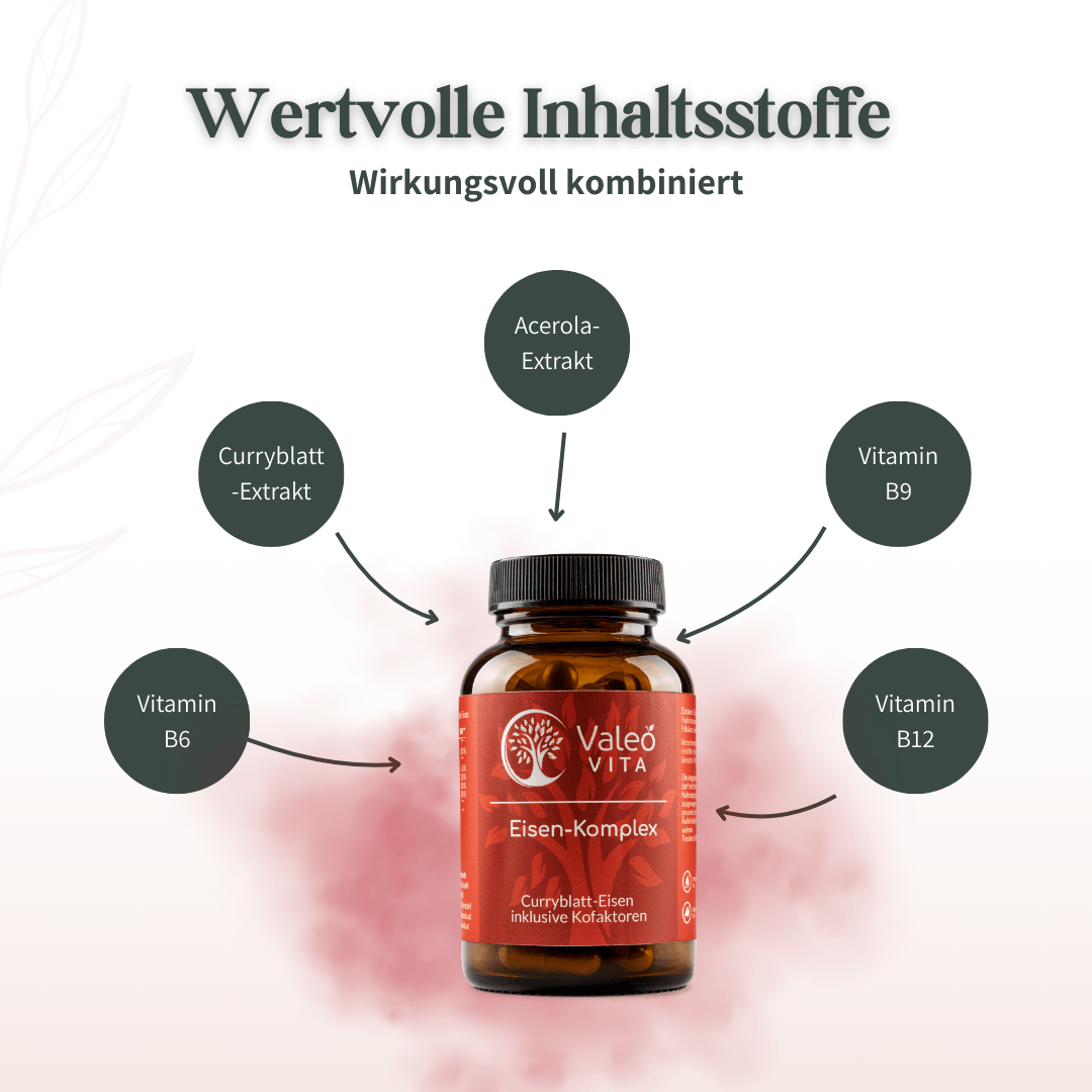 Übersicht der Inhaltsstoffe des Valeo Vita Eisen-Komplex mit Curryblatt-Extrakt, Acerola und Vitaminen