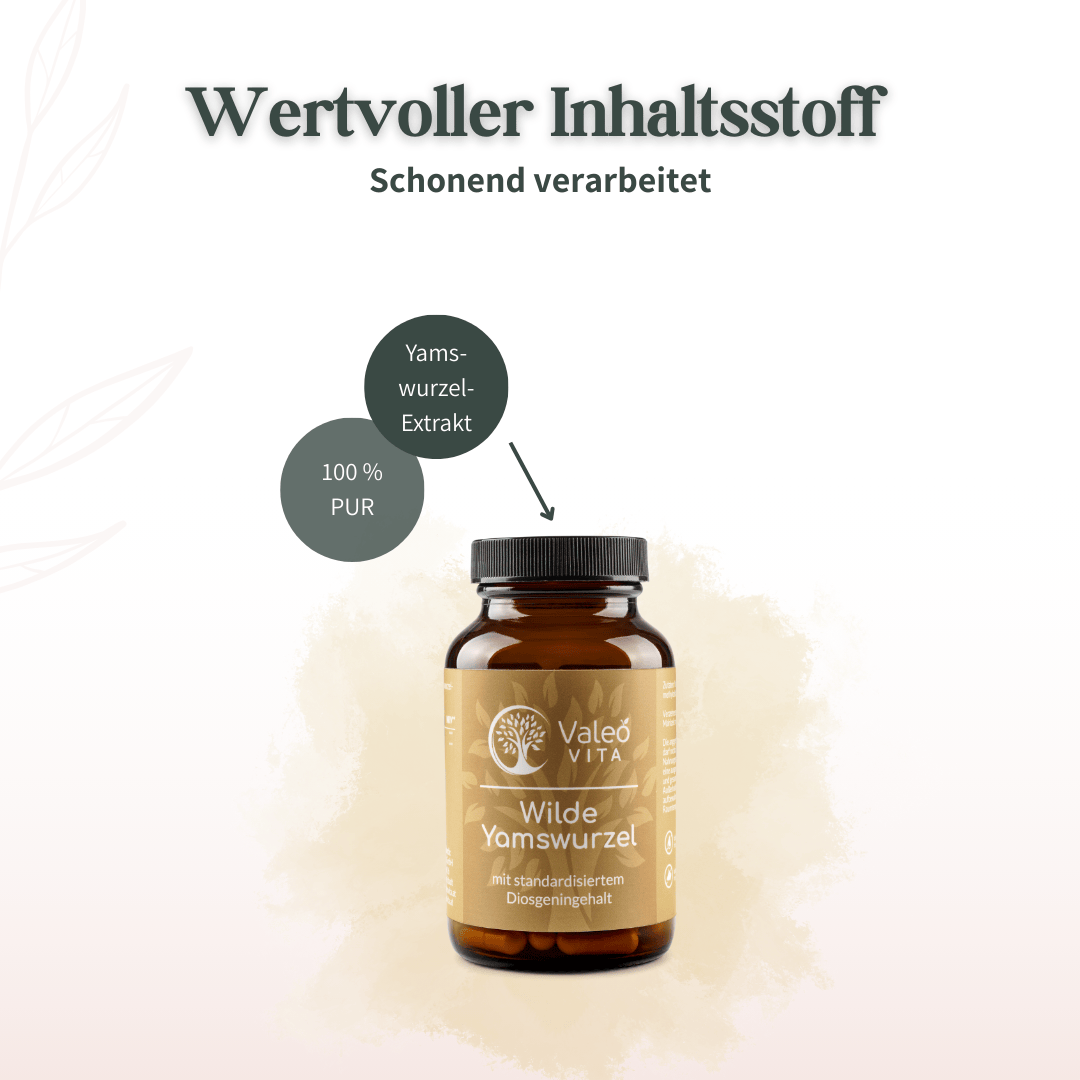 Darstellung des Yamswurzel-Extrakts der Valeo Vita Wilden Yamswurzel mit Hinweis auf 100 Prozent reinen Inhaltsstoff