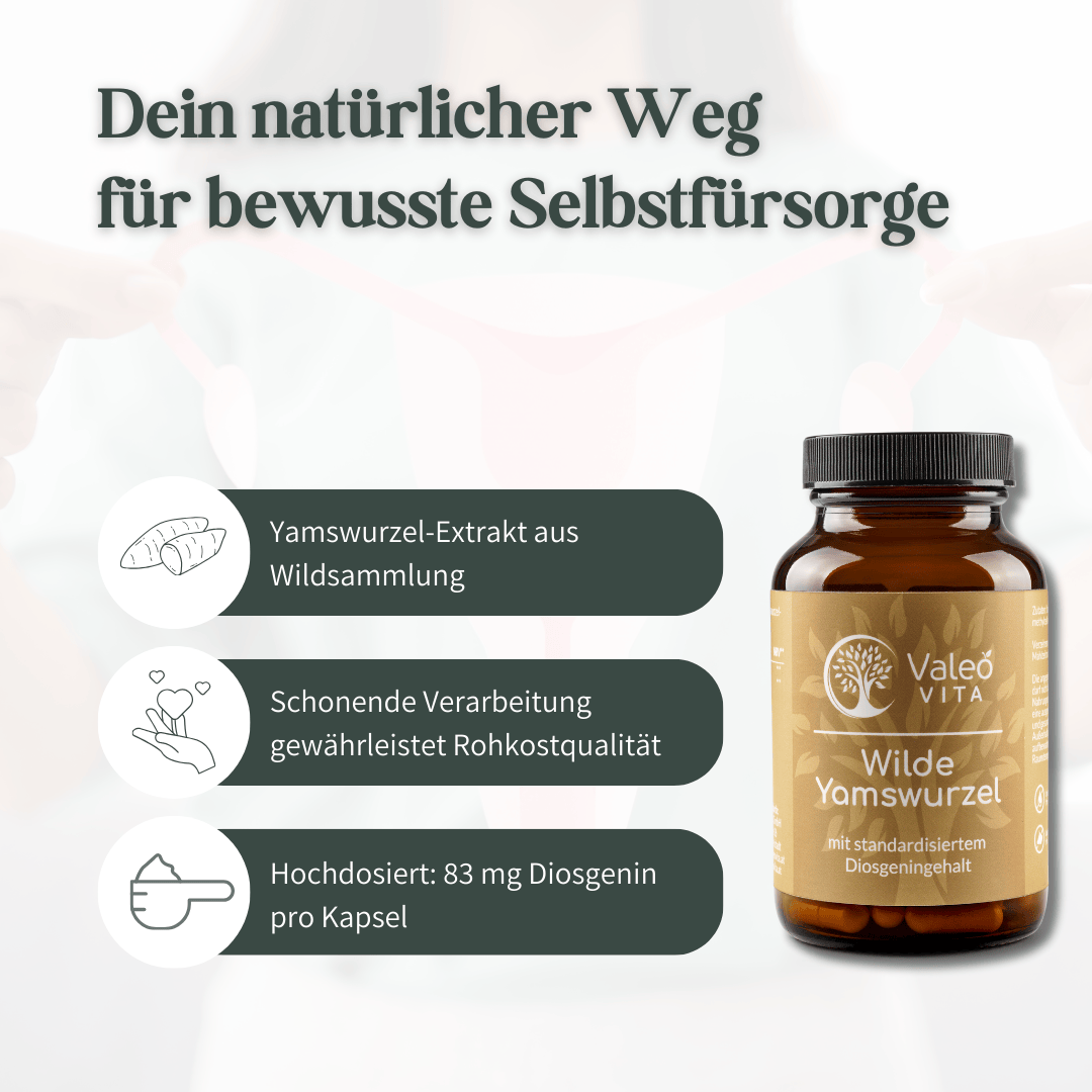 Infografik zur Valeo Vita Wilden Yamswurzel mit Informationen zu Herkunft, Verarbeitung und Diosgeningehalt