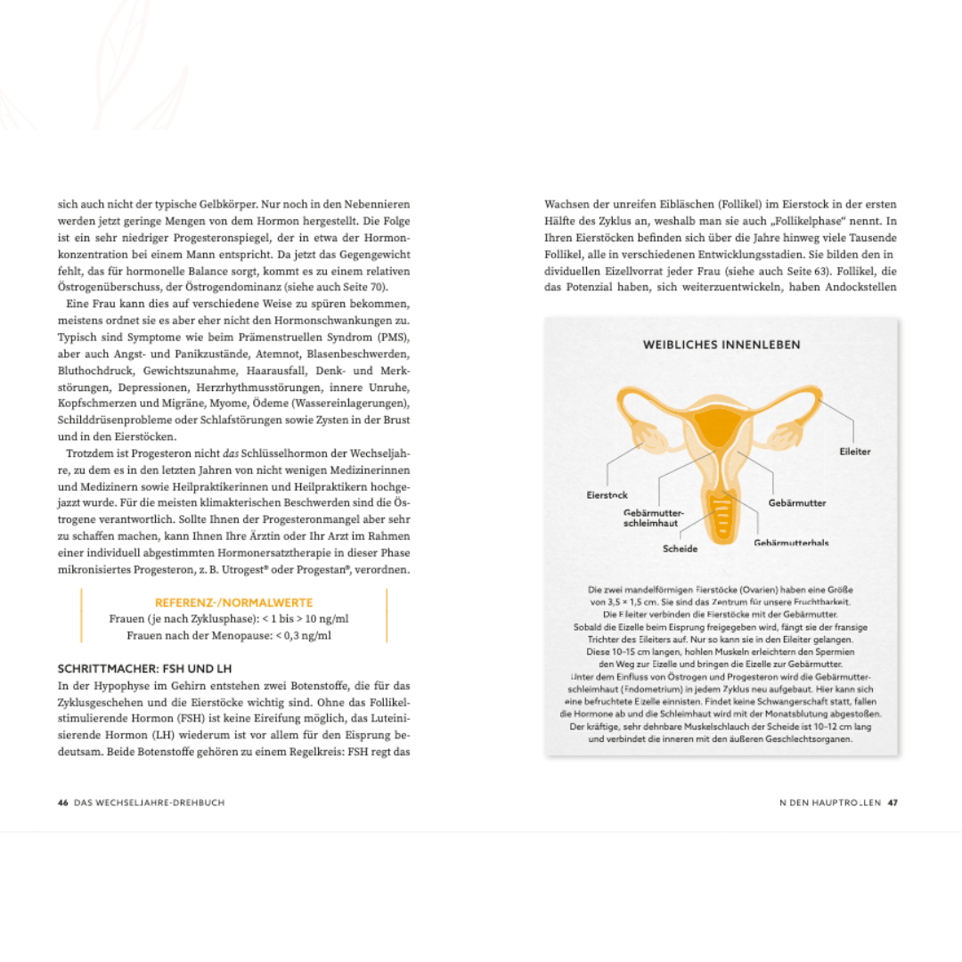 Sachbuchseite zu Hormonen in den Wechseljahren mit schematischer Darstellung des weiblichen Innenlebens