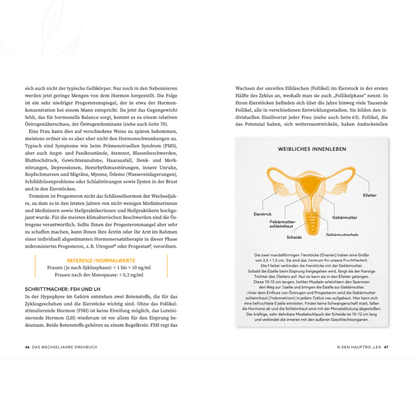 Sachbuchseite zu Hormonen in den Wechseljahren mit schematischer Darstellung des weiblichen Innenlebens